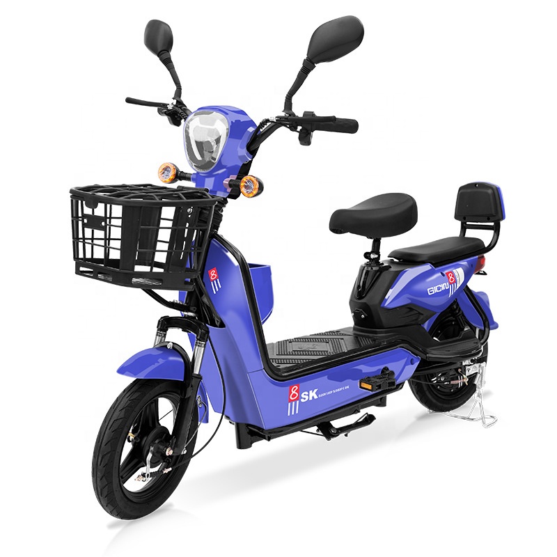 YTYIN Bicicletta Elettrica da  - Scooter Electric recensione e prezzo