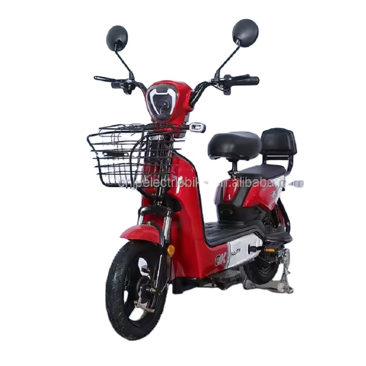 YTYIN Bicicletta Elettrica da  - Scooter Electric recensione e prezzo
