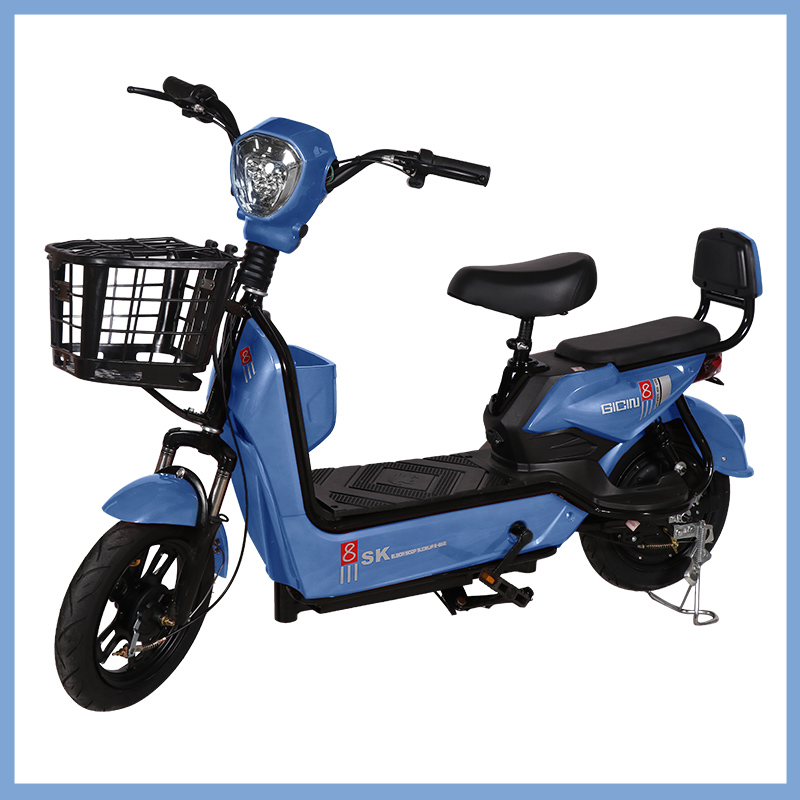 YTYIN Bicicletta Elettrica da  - Scooter Electric recensione e prezzo